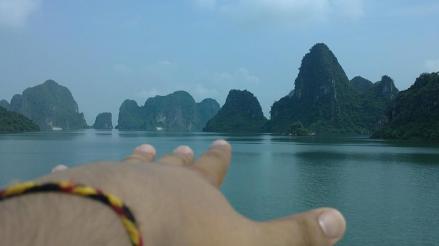 539011_341656145920685_1113452389_n