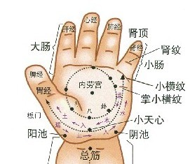 手掌正面穴位图