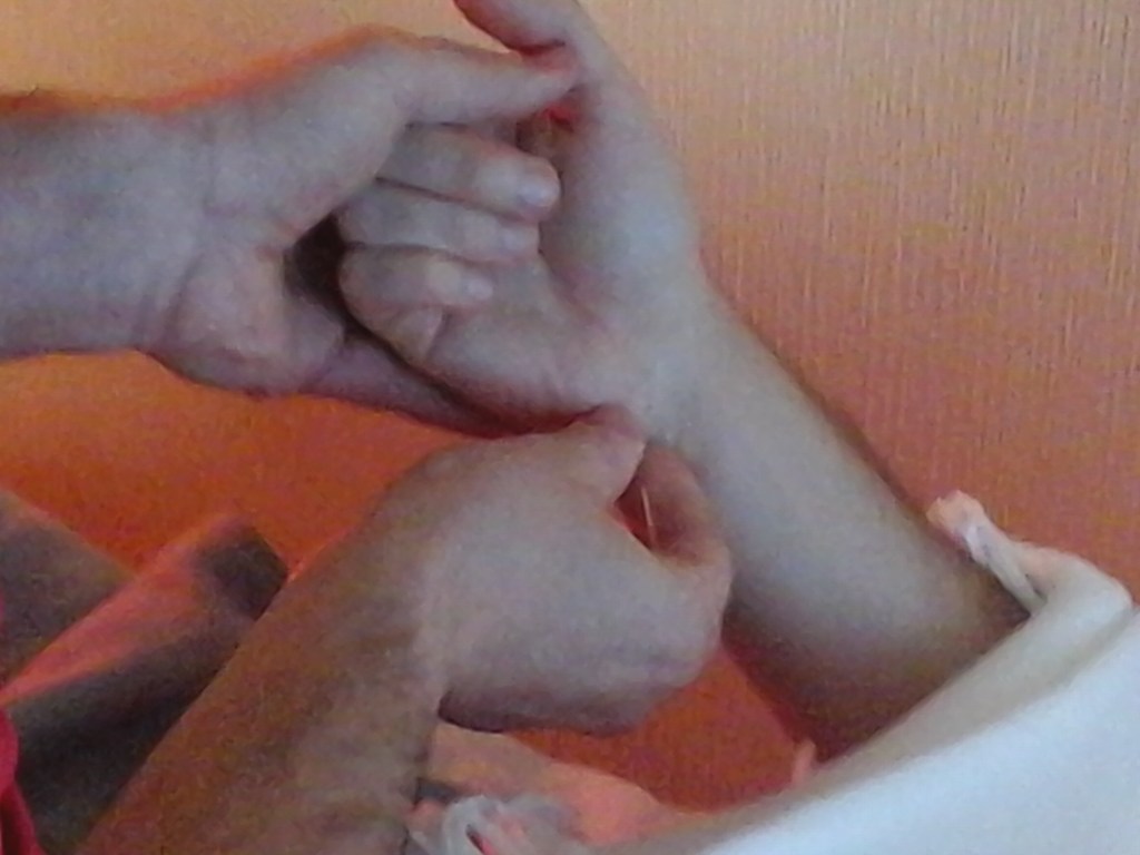 7C SHENMEN. Alumnos en prácticas 