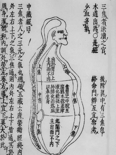 380729_4286246803266_335083522_n