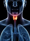 19040236-3d-rendered-illustration-of-a-thyroid-cancer