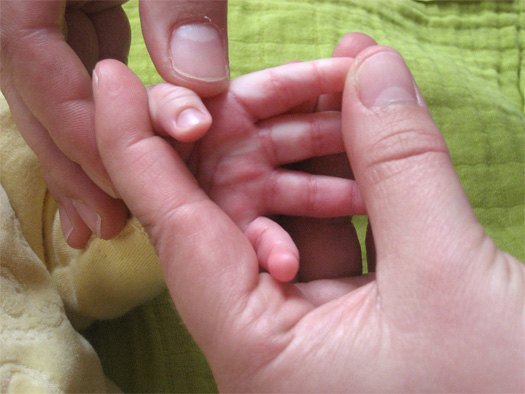 13513_908140769238345_2185666085691019218_n