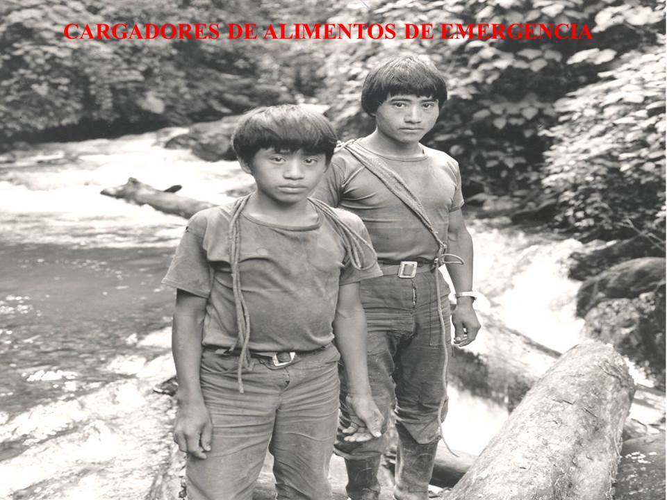 1656260_1470369889858395_276133573_n