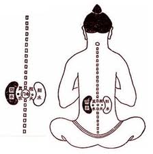 Seminario elemento AGUA en Medicina Tradicional China, 5 y 6 junio