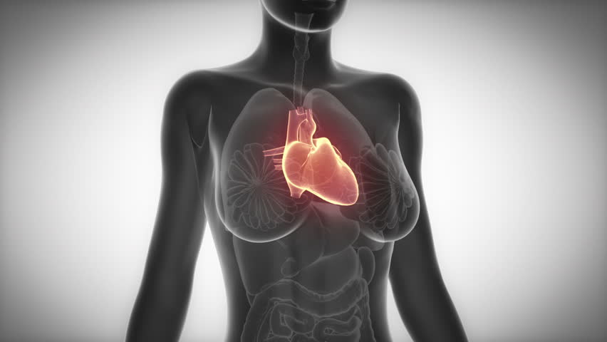 9 Y 10 DIC, Seminario CORAZÓN-ID en&nbsp;MTC