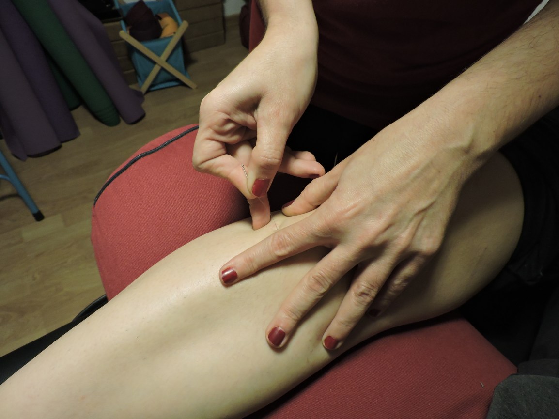 Seminario sobre las Sustancias en Medicina Tradicional China&nbsp;(Madrid)