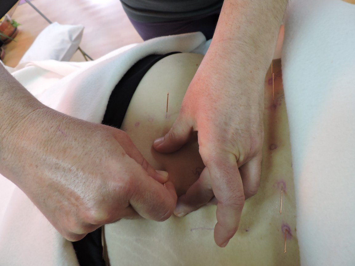 Pilar Rodríguez, una alumna de nuestra Escuela. ACUPUNTORA Y&nbsp;VETERINARIA