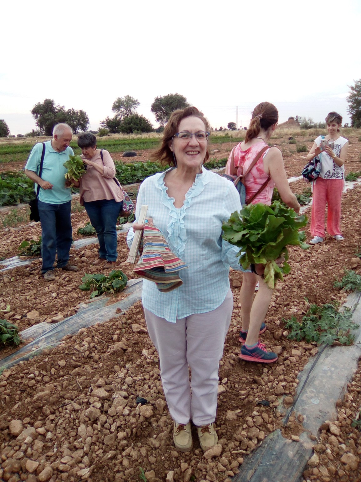 Álbum, salida PLANTAS