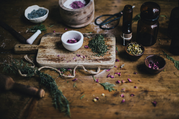 El espacio para LAS PLANTAS MEDICINA en este nuevo curso de ACUPUNTURA