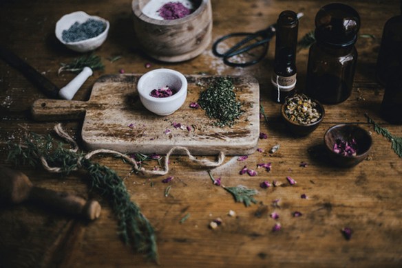 El espacio para LAS PLANTAS MEDICINA en este nuevo curso de&nbsp;ACUPUNTURA