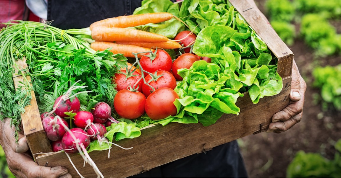 31 marzo, ONLINE (gratuito) ALIMENTACIÓN E&nbsp;INMUNIDAD