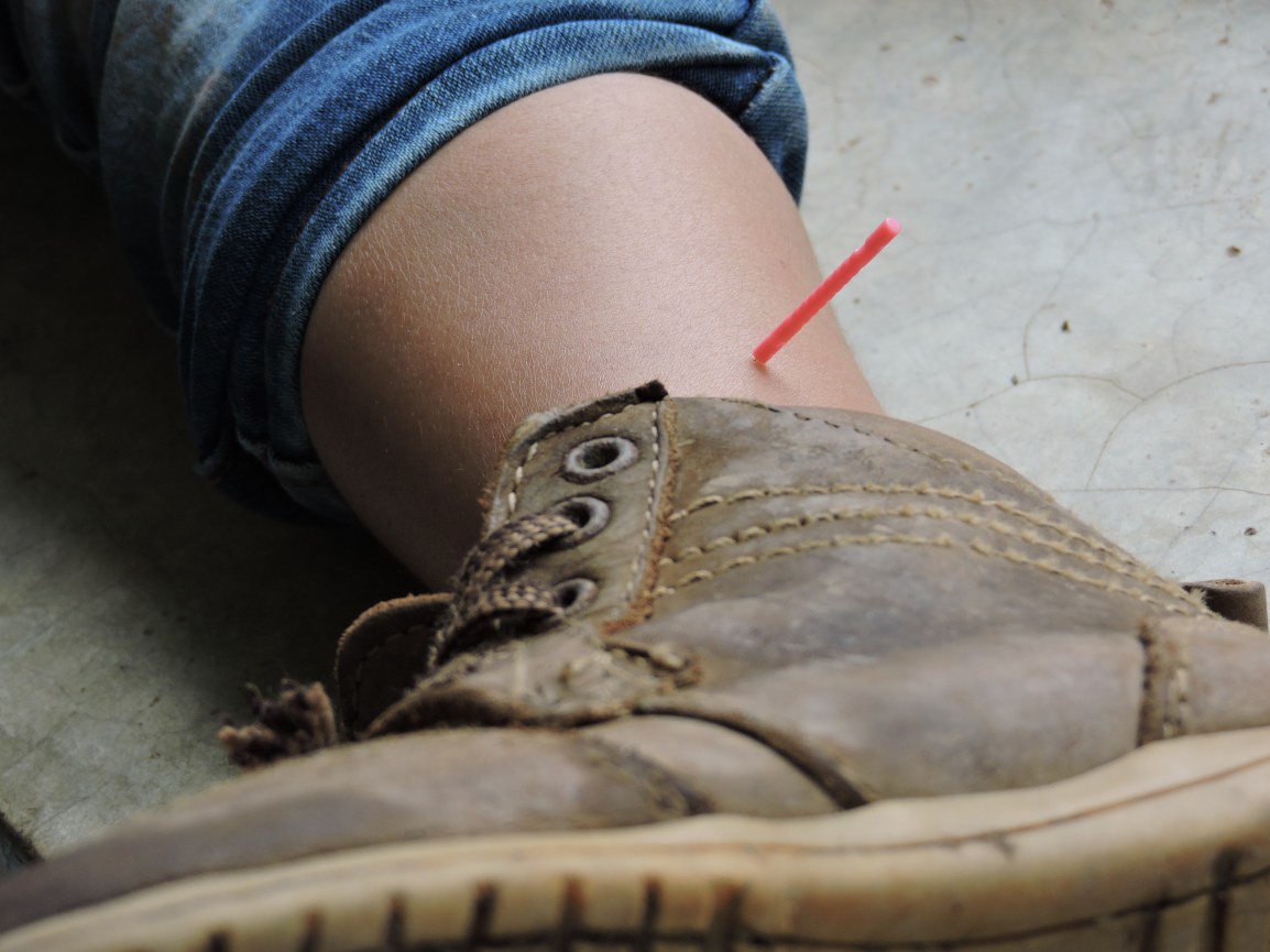 CALENDARIO DE CLASES DEL NUEVO CURSO DE ACUPUNTURA Y&nbsp;MTC