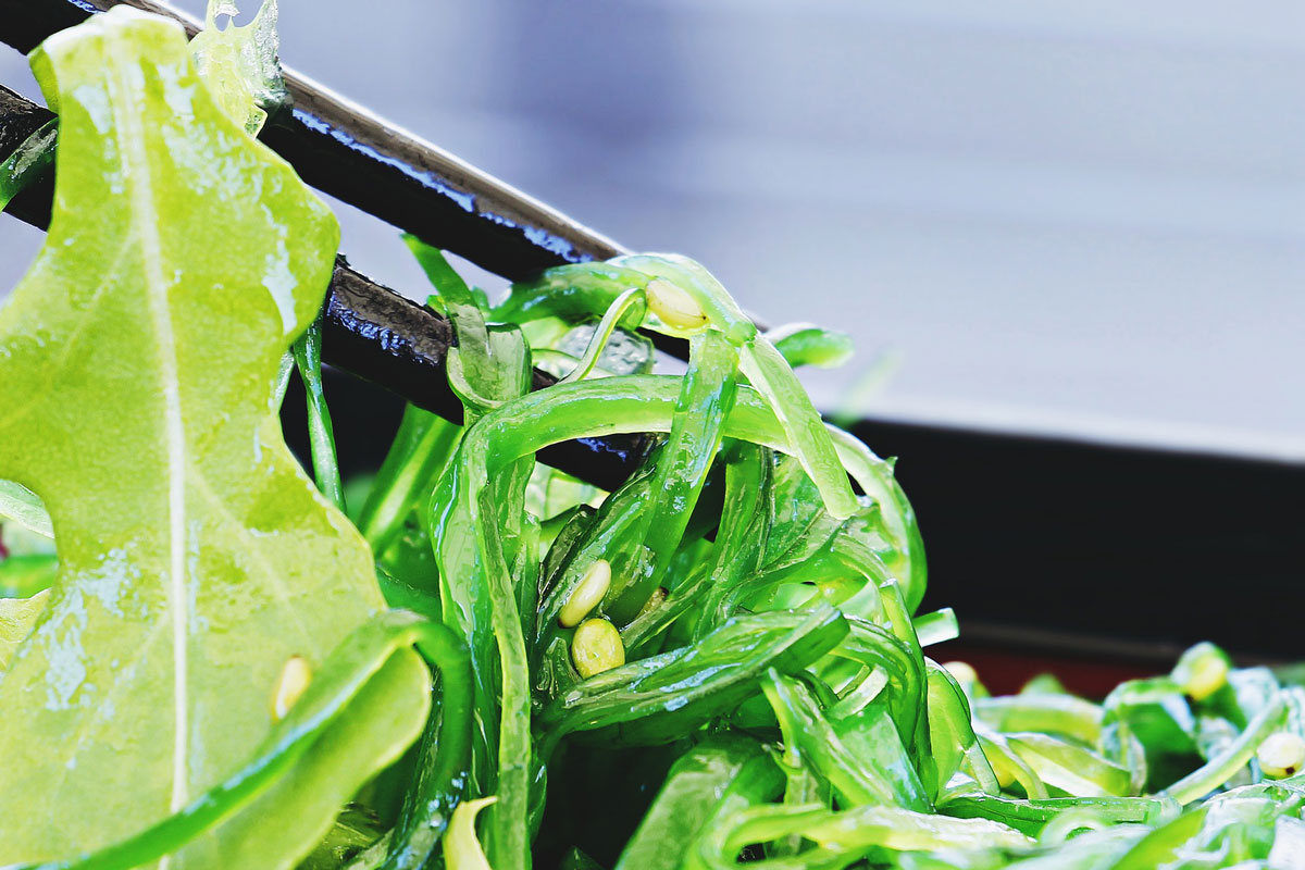 taller-COCINAR CON ALGAS, 13 junio